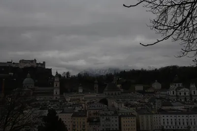 DSC_7035 (Large).JPG